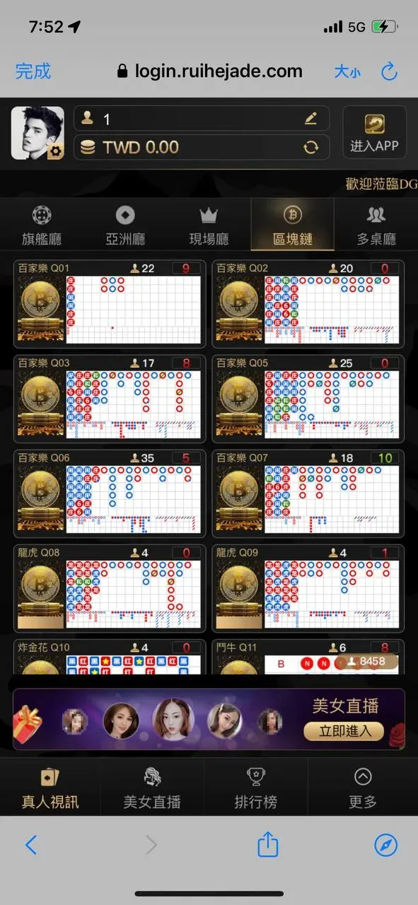 DG娛樂城區塊練